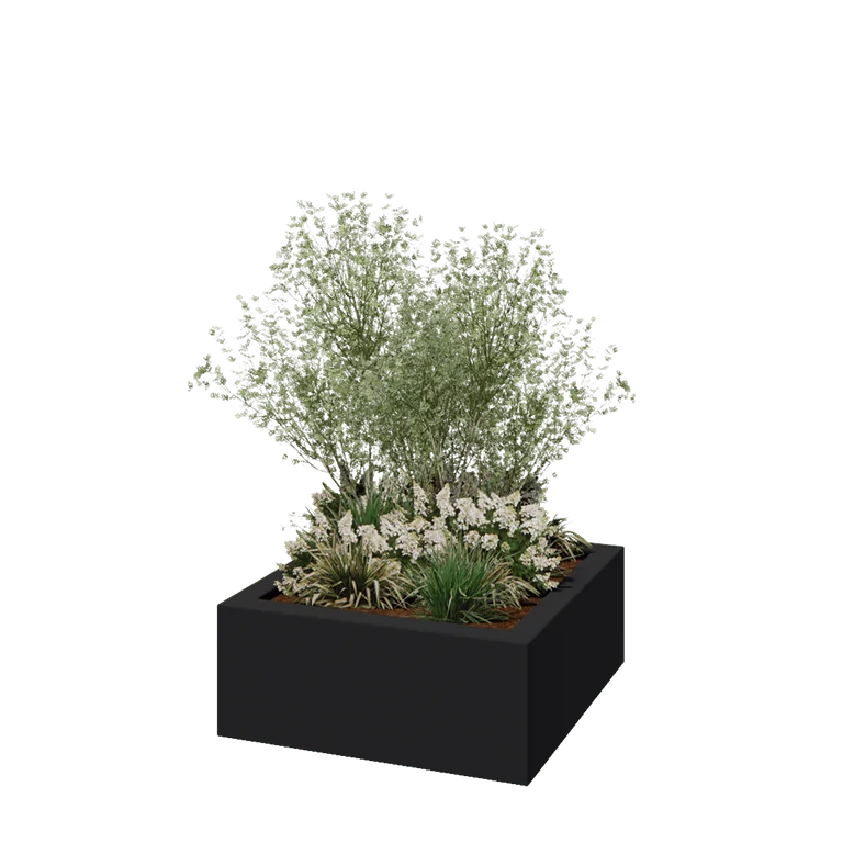 Stiklo pluošto vazonai - Kvadratinis - 100 x 100 x 40 cm - RAL7021 matinis (juodai pilka) - Su dugnu